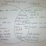 Venn-diagram som jämför Alf och Trädet. Alf gillar vinter, böcker och människor. Trädet gillar inte vinter, men tycker om vatten och höst. I mitten finns saker som kan dikt vara, som snö, känslor och barn.