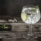 Orzeźwiający gin and tonic z plasterkiem limonki, gałązką rozmarynu i ziarnami pieprzu, na drewnianym blacie.