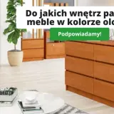 Olcha w salonie: Jak dobrać idealny kolor ścian? Poradnik