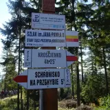 Znaki szlaków w Beskidzie Sądeckim. Szlak im. Jana Pawła II prowadzi do Krosna i schroniska na Przehybie.