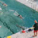 Trening pływacki dla początkujących w basenie przy oceanie. Kilka osób pływa, a instruktor obserwuje.