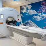 Pacjent leży na łóżku aparatu do rezonansu magnetycznego, przygotowany do badania. W tle widok na górę Fudżi i kwitnące wiśnie.