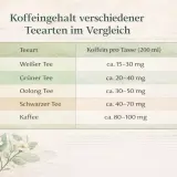 Vergleich des Koffeingehalts verschiedener Teesorten: Weißer Tee (15-30mg), Grüner Tee (20-40mg), Oolong Tee (30-50mg), Schwarzer Tee (40-70mg) und Kaffee (80-100mg) pro Tasse.