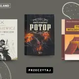 Trzy książki Sienkiewicza: "Ogniem i mieczem", "Potop", "Pan Wołodyjowski". Pokazują, jakie są relacje między pozycją społeczną a wyborem serca w literaturze.