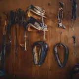 Collection d'équipements équestres en cuir animal, prêts pour la prochaine aventure.