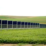 Reihe von Agri-PV-Modulen auf einer grünen Weide, die sich über sanfte Hügel erstreckt.