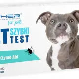 Ile kosztuje test na boreliozę dla psa? Ceny, które musisz znać