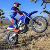 Motocyklista w stroju Alpinestars A-10 wykonuje wheelie na pustynnym terenie, w tle drzewa Jozuego.