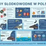 Szczupak, drapieżnik z ostrymi zębami, czeka w wodnej roślinności na ofiarę. Potrafi zaatakować w ułamku sekundy.