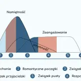 Wykres pokazuje ewolucję namiętności, intymności i zaangażowania w związku. Kluczem do trwałej relacji jest równowaga w związku.