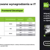 Zarobki w IT Polska 2024: Junior, Mid, Senior ile naprawdę zarobisz?