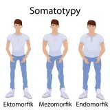 Trzech mężczyzn: ektomorfik (szczupły), mezomorfik (umięśniony) i endomorfik (zaokrąglony), ilustrujących somatotypy.