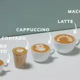 Verschiedene Kaffeevarianten: Espresso Macchiato, Cortado, Cappuccino, Latte und Latte Macchiato, kunstvoll mit Milchschaum verziert.