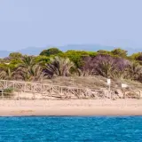 Pasarela de madera que sube a la vegetación dunar en la playa Los Tusales. El mar azul contrasta con la arena y las palmeras.