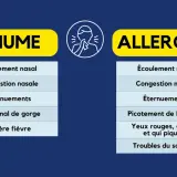 Tableau comparant les symptômes du rhume et des allergies. Le rhume inclut écoulement nasal, congestion, éternuements, mal de gorge et fièvre. Les allergies présentent aussi ces symptômes, mais avec en plus picotements de gorge, yeux rouges et troubles...