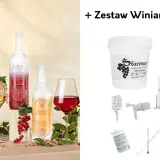 Butelki z winem i kieliszki z owocami, obok zestaw winiarza. Dowiedz się, jakie owoce najlepiej nadają się na domowe wino poza winogronami.