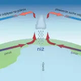 Schemat cyrkulacji powietrza wyjaśnia, jak powstaje wiatr: ciepłe powietrze unosi się nad równikiem, tworząc niż, a następnie ochładza się i opada, tworząc wyż.