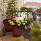 Balkon pełen życia: hortensje, lawenda i pelargonie tworzą idealne jakie kwiaty na słoneczny balkon.