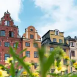 Bunte Häuserfassaden in Stockholm, ein malerischer Anblick, der zu den Stockholm Geheimtipps gehört. Gelbe Blumen blühen im Vordergrund.