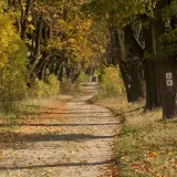 Jesień na Letniej: Twój przewodnik po najbardziej fotogenicznej ulicy