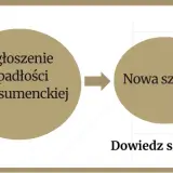 Ogłoszenie upadłości konsumenckiej i co dalej – kluczowe kroki do oddłużenia