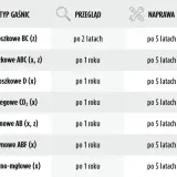 Gdzie sprawdzić gaśnicę samochodową, aby uniknąć niebezpieczeństwa?