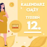 Kobieta w żółtej sukience, w 12 tygodniu ciąży, trzyma dłoń na brzuchu. Obok kalendarz i napis "Kalendarz ciąży, tydzień 12".
