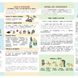 Ilustración sobre qué hacer ante una intoxicación accidental de perros, incluyendo síntomas, causas y protocolos de actuación. Menciona el veneno para perros.