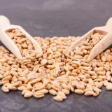 Czy makaron ma gluten? Rozwiewamy wątpliwości i wskazujemy alternatywy