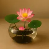 Eine zarte **Lotusblume in der Wohnung**, in einem Glasgefäß mit Wasser und Kieselsteinen, strahlt Ruhe aus.