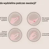 Jakie badania przed cyklem? Kluczowe testy dla Twojego zdrowia