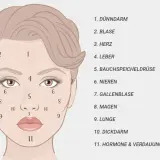 Gesichtskarte: Zonen für Pickel und Hautprobleme, z.B. T-Zone (Stirn, Nase, Kinn) und Wangen, mit Bezügen zu inneren Organen und dem Verdauungssystem.