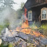 Palenie gałęzi na działce? Uniknij kary! Przepisy i alternatywy