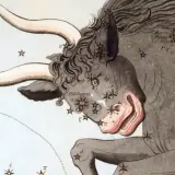 Ilustracja przedstawia byka gwiazdozbiór z zaznaczonymi gwiazdami i nazwami, w tym Aldebaran i Plejady.