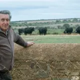 Fernando Cuadri, a man of considerable edad, oversees his herd of black bulls in a pastoral landscape.
