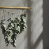 Ein hängender Zweig mit getrocknetem Eukalyptus, befestigt an einem Bambusstock, wirft Schatten an eine graue Wand.