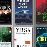 Sechs Buchcover, darunter "Suzukis Rache" und "Cortex", die zu einer buch thriller top 10 gehören könnten.
