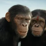 Dwóch szympansów, bohaterów filmu "Wojna o Planetę Małp", patrzy w stronę widza na tle morza i zniszczonych budowli.
