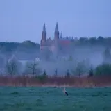 Mglisty poranek w Krynkach. Bocian na łące, w oddali kościół. To jedne z wielu atrakcji Krynki.