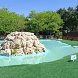 Un aquapark canino con perros al agua, listo para la diversión. Un estanque artificial con rocas y césped artificial para que los perros disfruten.
