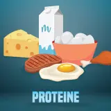 Ein Berg aus Käse, Steak, Spiegelei, Hühnerbein, Milch und Eiern – das ist zu viel Eiweiß!