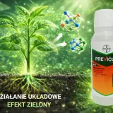 Zdrowa roślina z widocznymi korzeniami, butelka Previcur Energy i cząsteczki. Previcur dawkowanie dla zdrowych roślin.