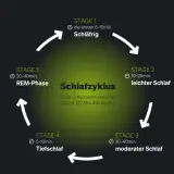 Der Schlafzyklus mit seinen Phasen (Schläfrig, leichter, moderater, Tiefschlaf, REM) erklärt die Bedeutung von gutem Schlaf. Ein Zyklus dauert 60-120 Min.