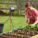 Kvinna i trädgården med ett system för att samla regnvatten och bevattna sina plantor.