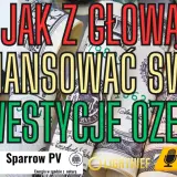 Mężczyzna i zwinięte banknoty dolarów. Tytuł: "Jak z głową sfinansować swoje inwestycje OZE?". Dofinansowanie zielonej energii.