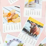 Ein **fotokalender selber basteln** mit Bildern von Novemberlaub, einem schottischen Hochlandrind, Wachsoldaten und mehr.