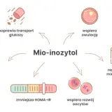 Mio-inozytol: co to jest? Poprawia transport glukozy, lipidogram, zmniejsza HOMA-IR, wspiera owulację, rozwój oocytów i reguluje cykl.