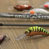 Przynęty na jazia spinning: Woblery, gumy i obrotówki [Sprawdzony wybór]