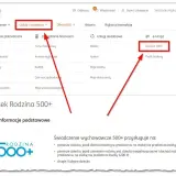 Wniosek Rodzina 500+ w ING. Kliknij "Rodzina 500+" w usługach dodatkowych, aby złożyć wniosek o zasiłek rodzinny.