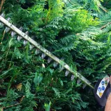 Ein Mann mit einer Stihl Heckenschere schneidet eine dichte grüne Hecke in Bayern.